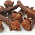 51E5vi8vSwL._AC_UF1000,1000_QL80_