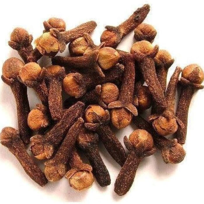 51+VxjPrqrL._AC_UF1000,1000_QL80_ 51+VxjPrqrL._AC_UF1000,1000_QL80_