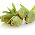 depositphotos_13391803-stock-photo-green-cardamom-pods