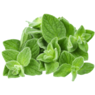 oregano2